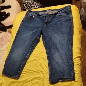 Old Navy Women's Dark Blue Ankle Jeans